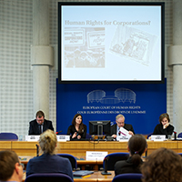 Seminar at the European Court of Human Rights Séminaire í  la Cour européenne des crois de l'homme