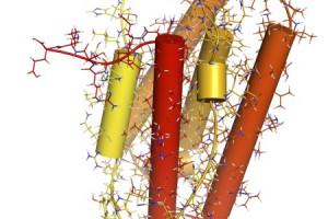 Interferon molecule