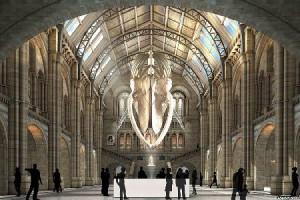 Natural History Museum
