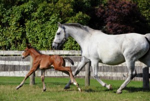 Twemlow’s Little ICSI with his surrogate mother, Victoria.