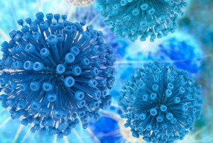 Example of a virus