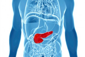 Pancreas