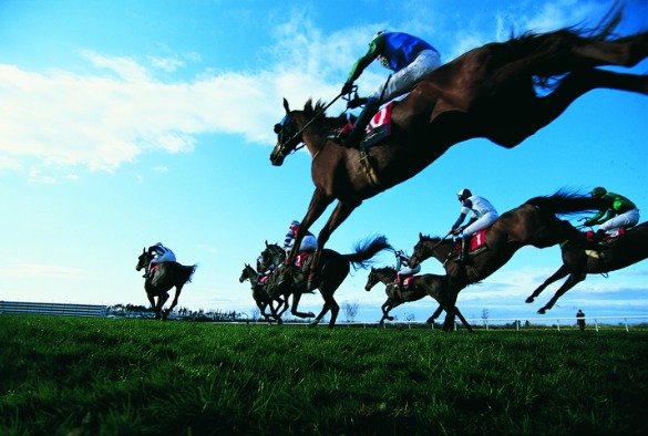 Photo of a horse race