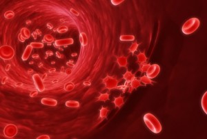 platelets and blood cells