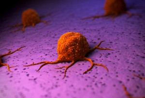 Cancer Cell