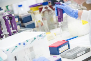 Close up of laboratory work