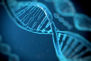 DNA helix