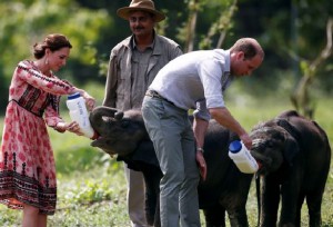 Royals in India