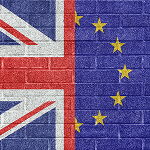Brexit wall texture