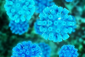 Hepatitis Virus
