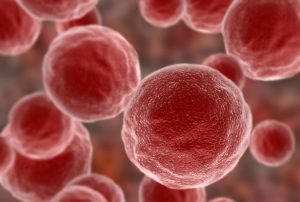 Cancer cells
