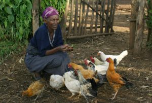 Ethopian villager with her chickens