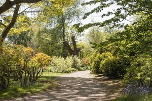 Ness Gardens view