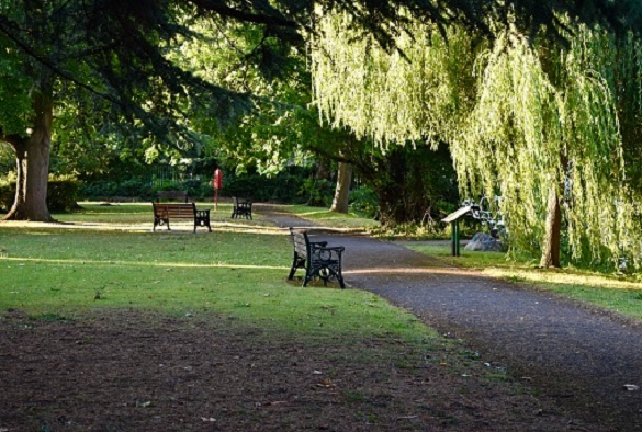 Empty park and benches in a sunny summer day