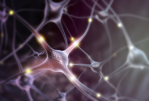 Neurons - Getty Images