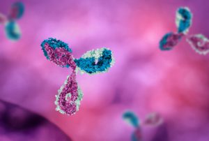 Antibodies viewed through microscope