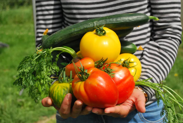 A person holding an armful of vegetables