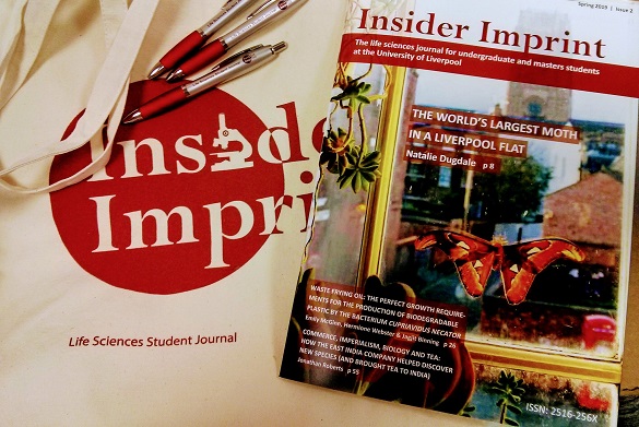 Insider Imprint