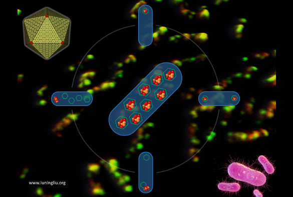 illustration of bacterial nanomachines