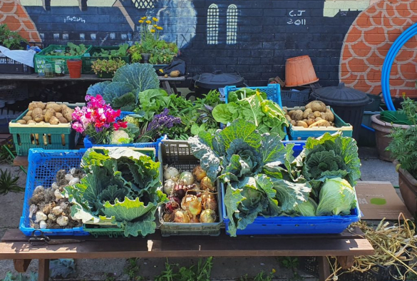 vegetables on display in crates on a table