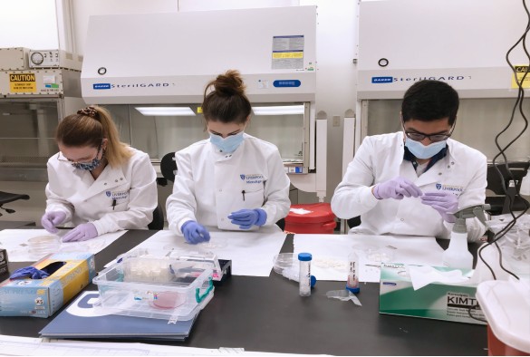Three Microage researchers examining samples in lab