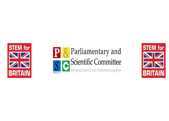 Logo for STEM for Britain