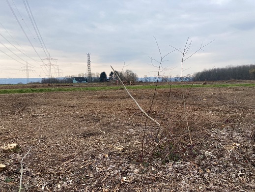 Phot of land cleared for urban expansion in Dortmund-Oespel
