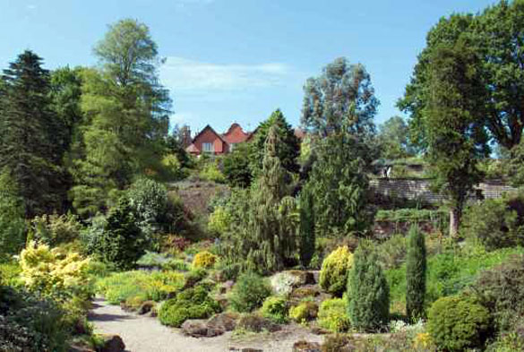 Ness Gardens