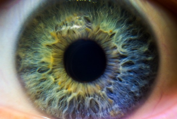 Close up image of human eye