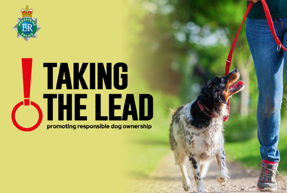 Taking the lead Banner 640x432