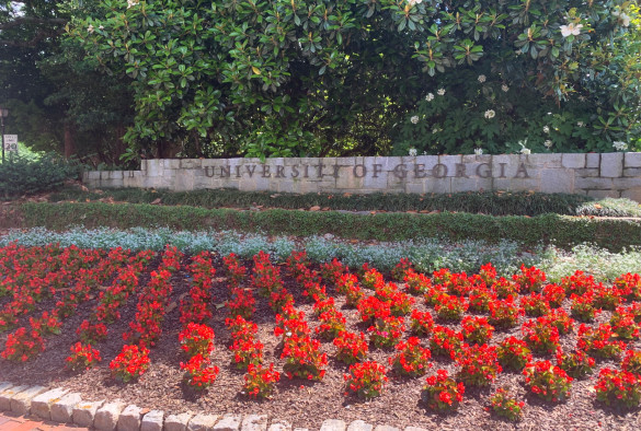 University of Georgia signage and flowerbed in front