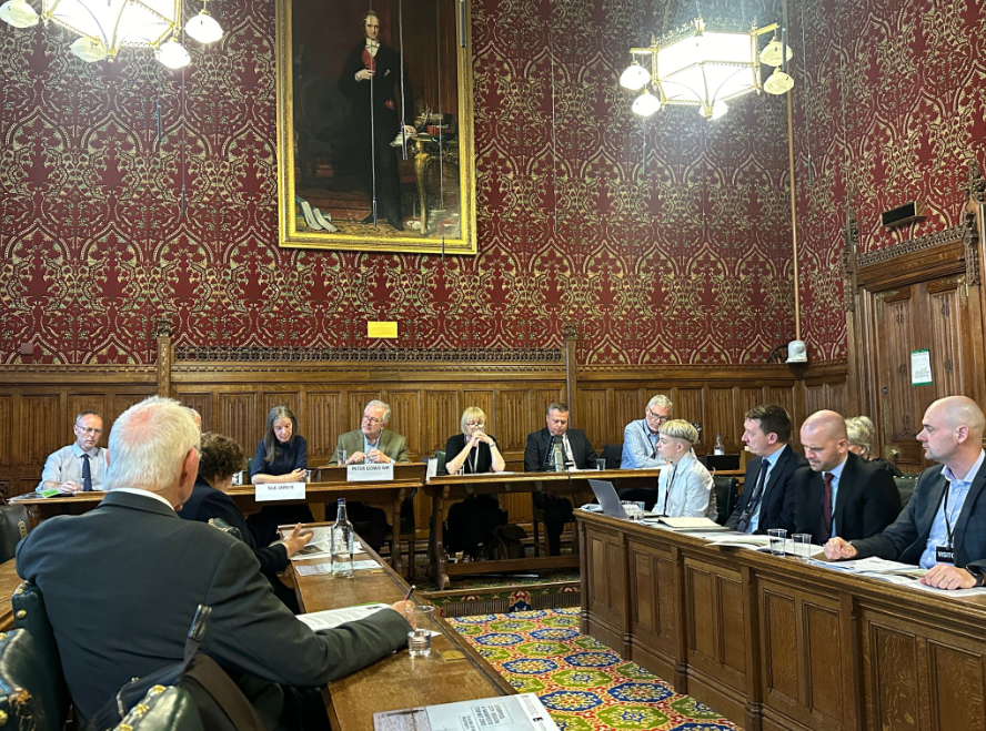 Sue Jarvis, Co-Director of the Heseltine Institute speaking on a panel with MPs in Parliament