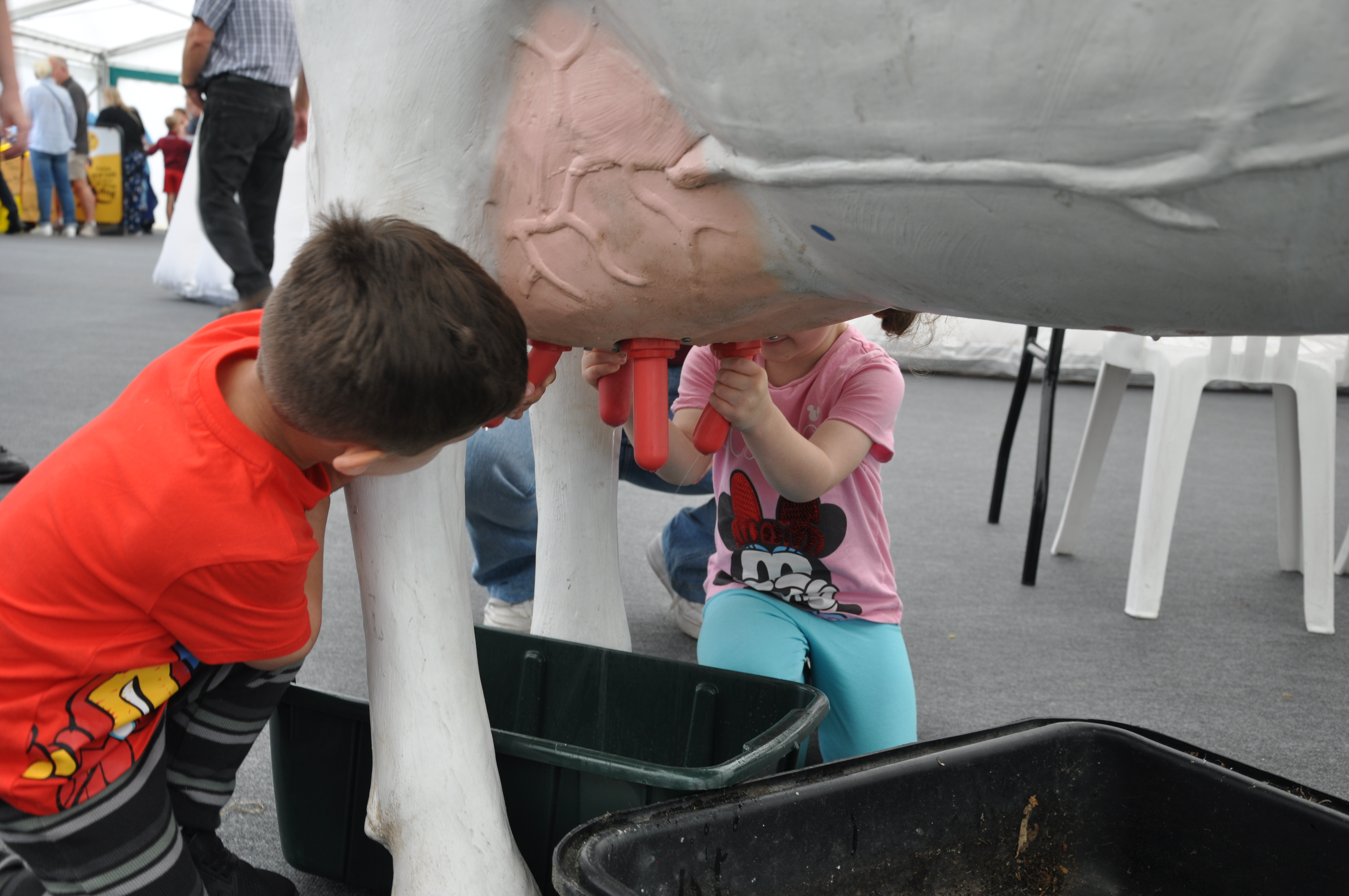 Young children simulate milking a cow