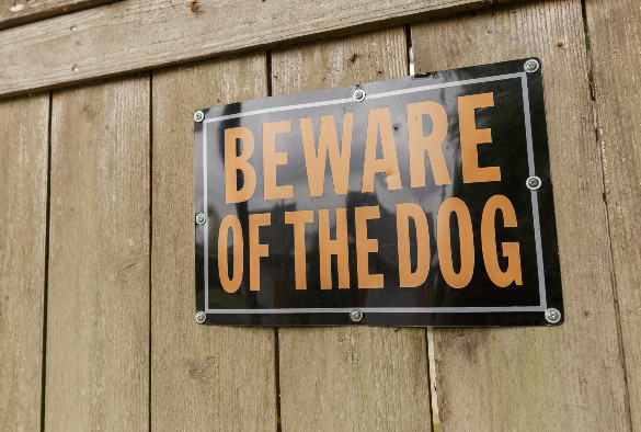 Sign saying Beware of the Dog