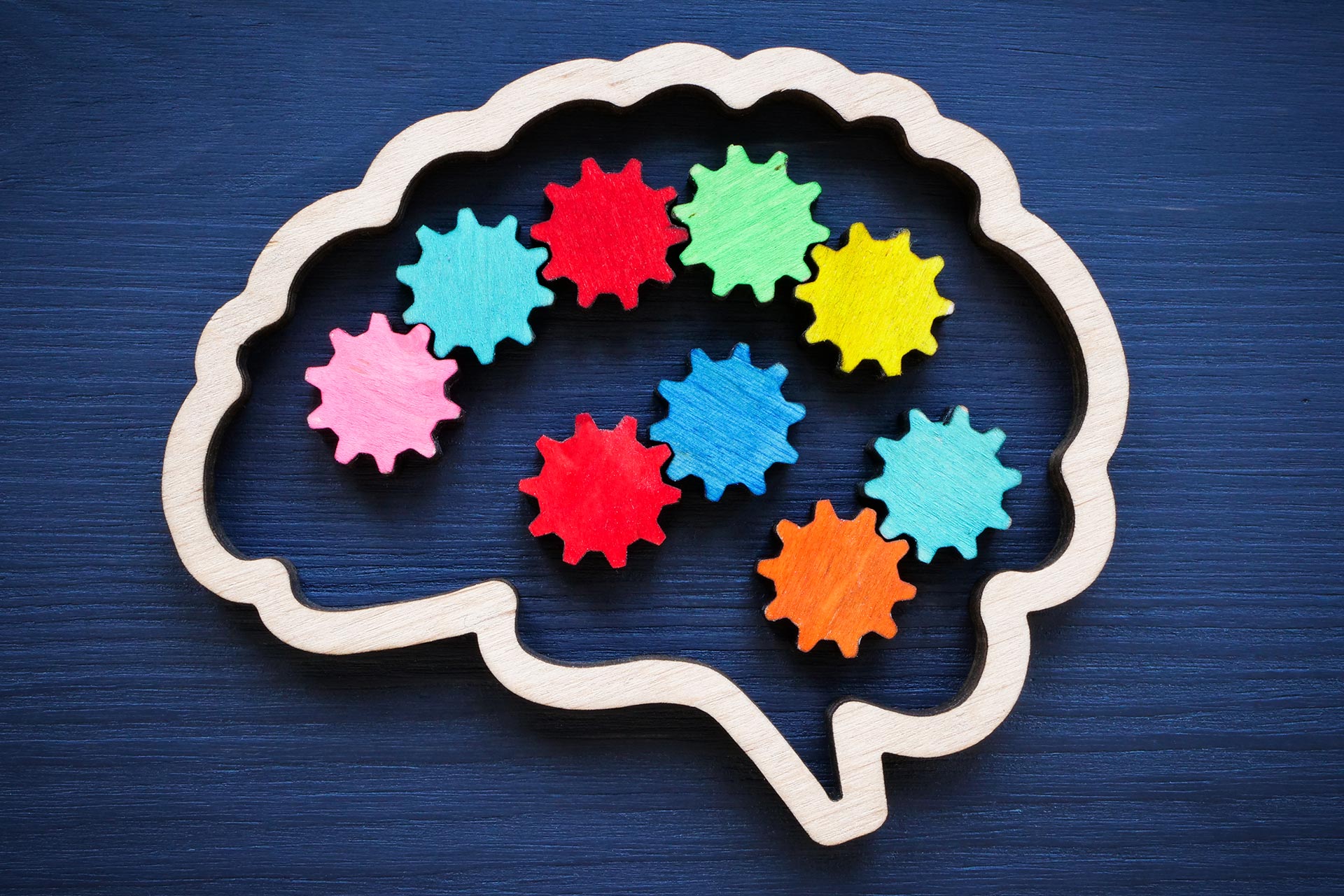 Brain outline with multi-coloured gears.