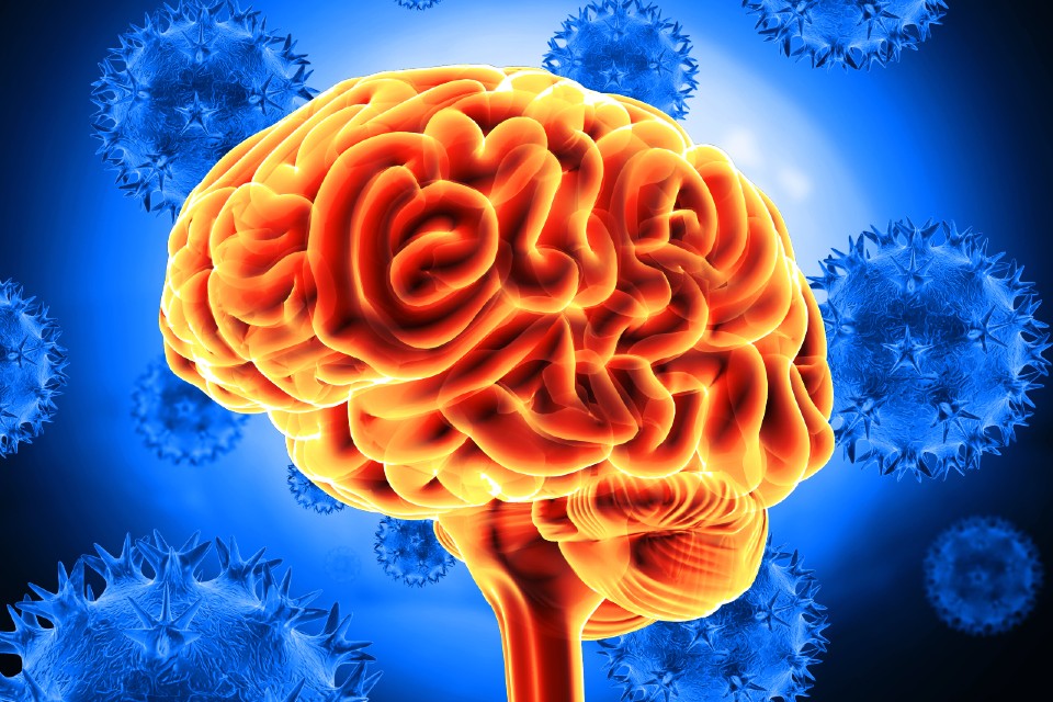 illustration of a brain