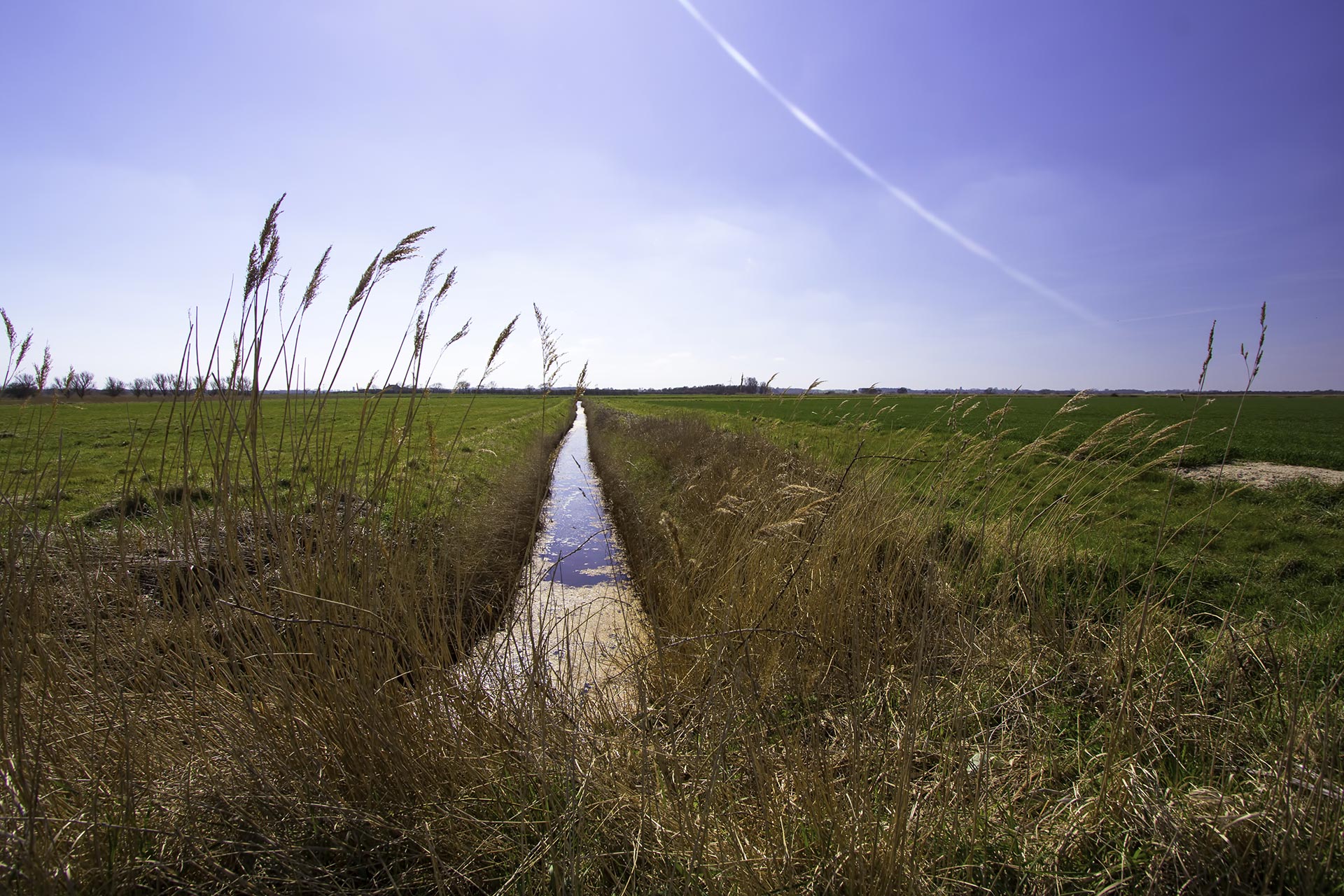 Farmland drainage ditch between rural pasture fields. English countryside scene. Narrow irrigation trench separating grazing land.